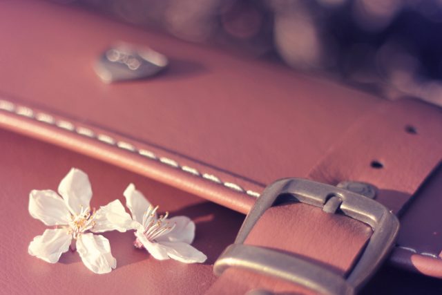 鞄と桜