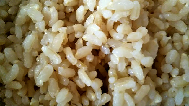 ファンケル 発芽米