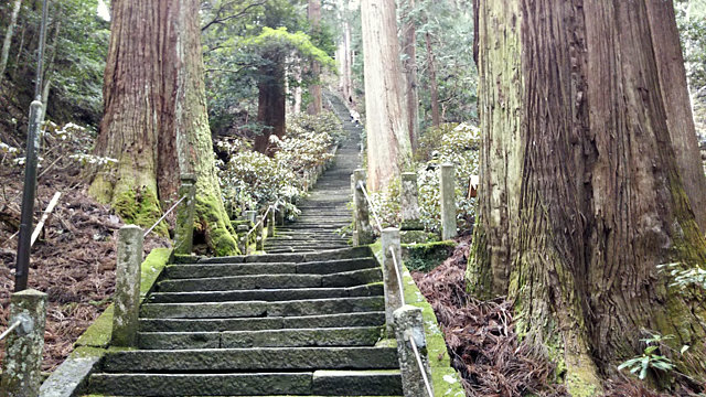 室生寺奥の院に続く階段