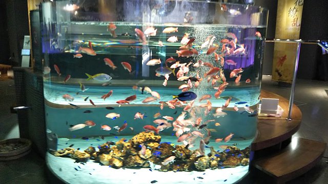宮島水族館